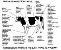 Cow_products