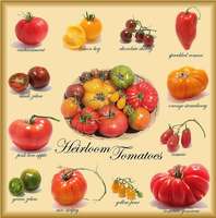 Uslg_heirloom_tomatoes